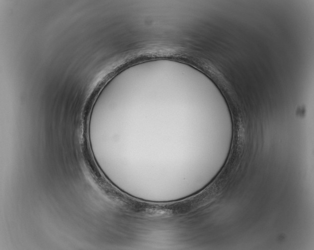 X0000114180582200911051552