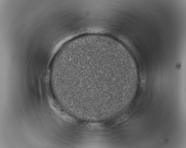 X0000114180583200911051552