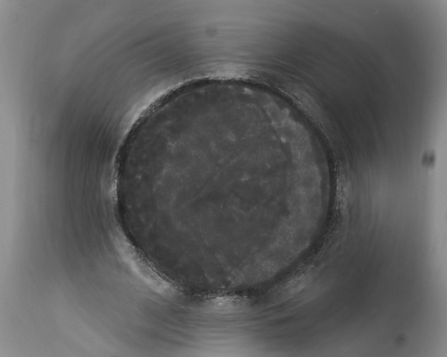 X0000114180584200911051552