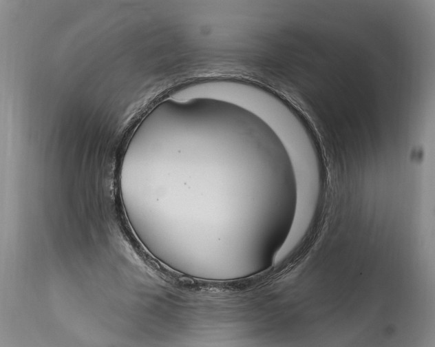 X0000114180585200911051552