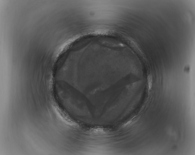 X0000114180588200911051552