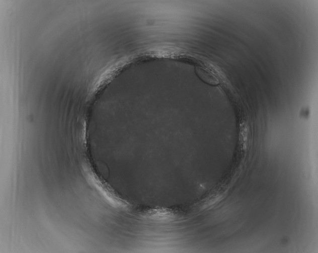 X0000114180589200911051552