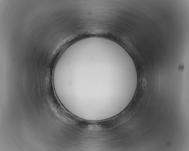 X0000114180591200911051552