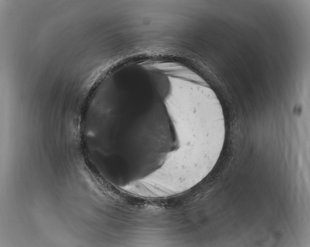 X0000114180592200911051552