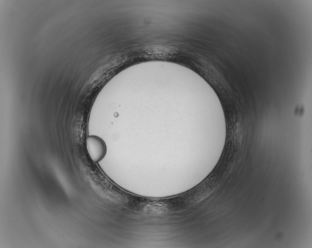 X0000114180599200911051552