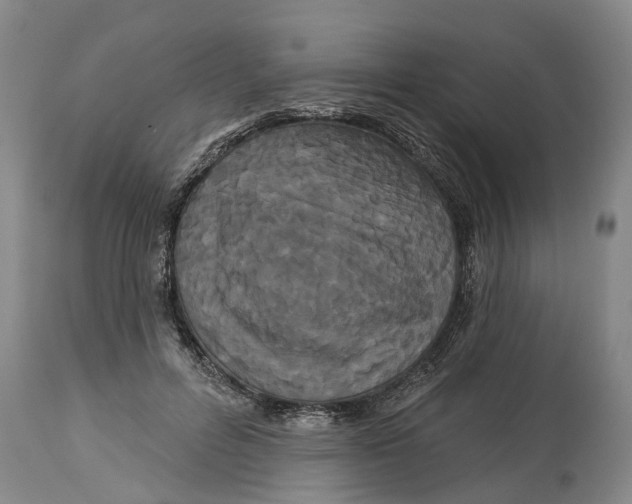 X0000114180600200911051552