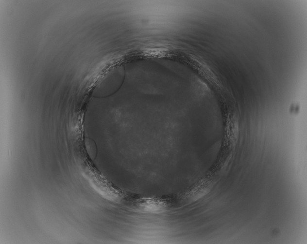 X0000114180601200911051552