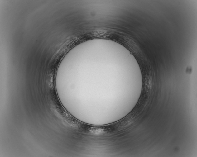 X0000114180602200911051552