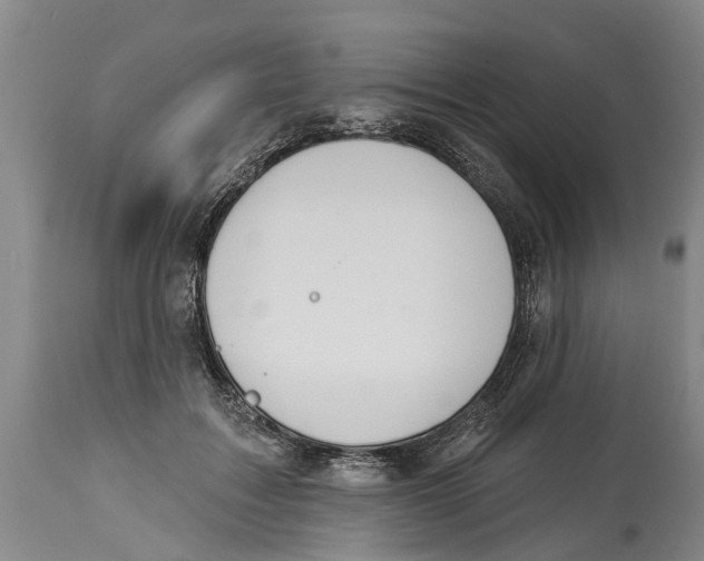 X0000114180603200911051552