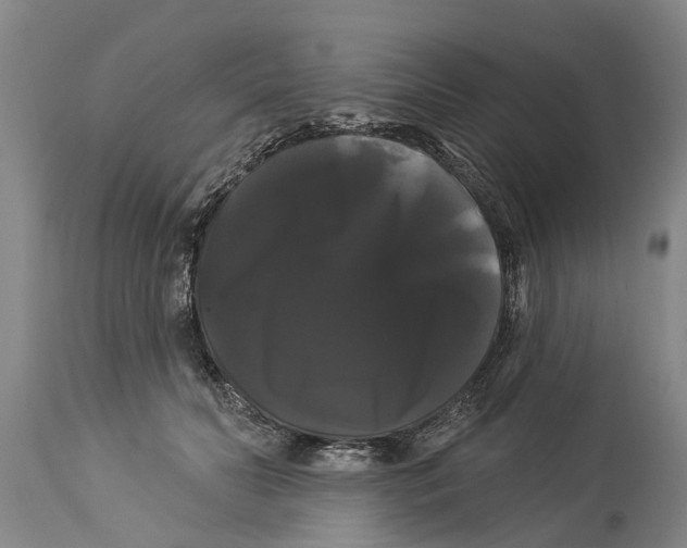 X0000114180606200911051552