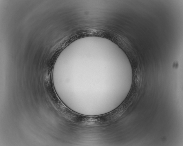 X0000114180607200911051552