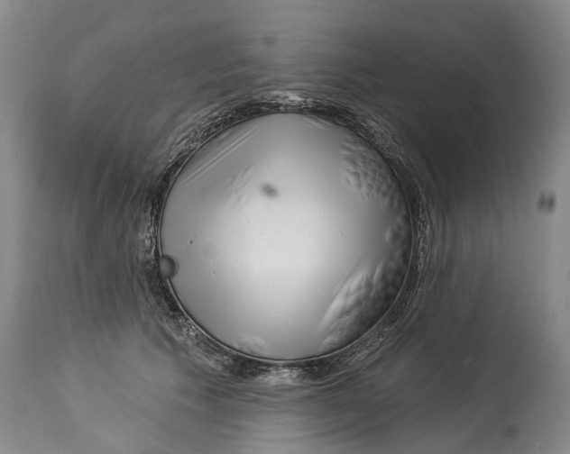 X0000114180609200911051552