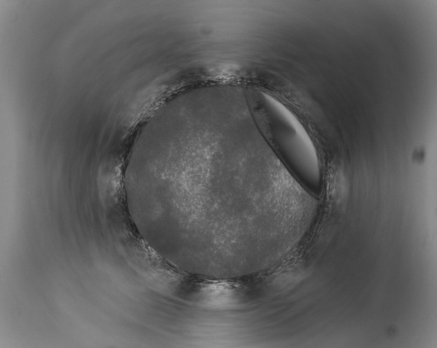 X0000114180611200911051552