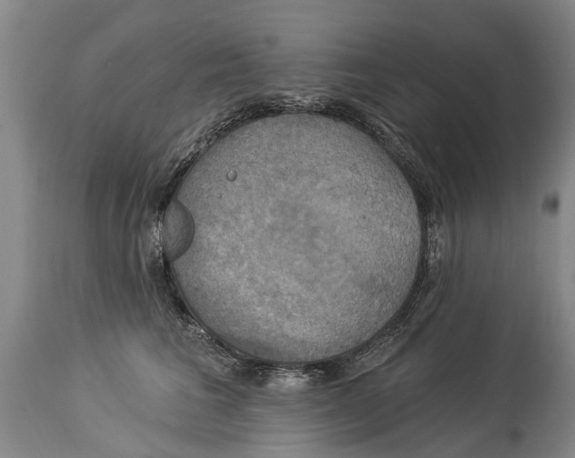 X0000114180613200911051552