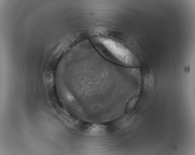 X0000114180617200911051552