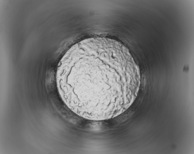 X0000114180623200911051552