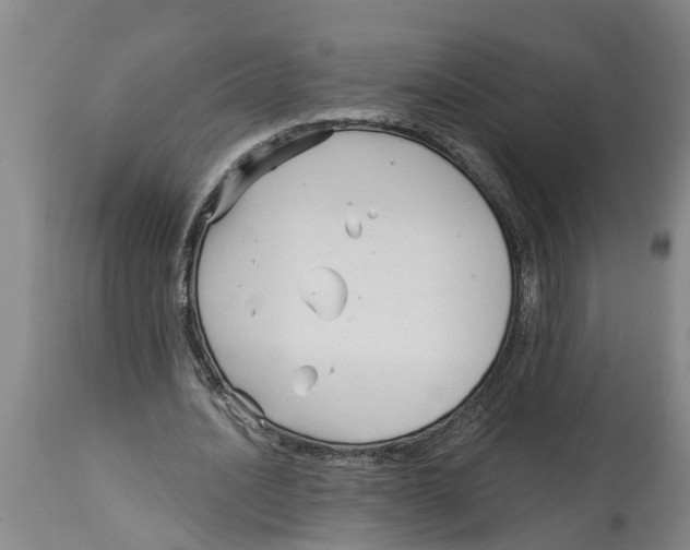 X0000114180628200911051551