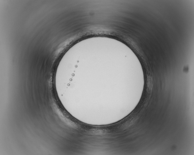 X0000114180629200911051551