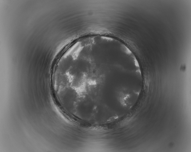 X0000114180630200911051551