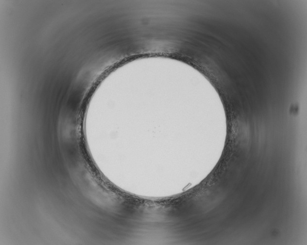 X0000114180632200911051551