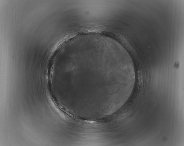 X0000114180634200911051551