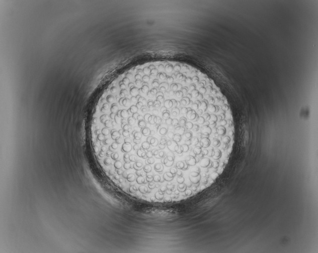 X0000114180638200911051551