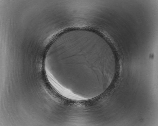 X0000114180640200911051551