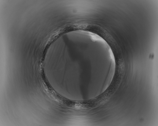 X0000114180641200911051551