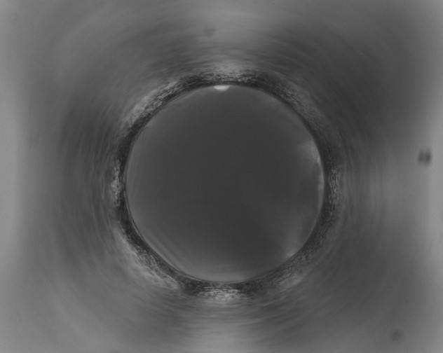 X0000114180642200911051551