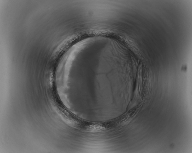 X0000114180644200911051551