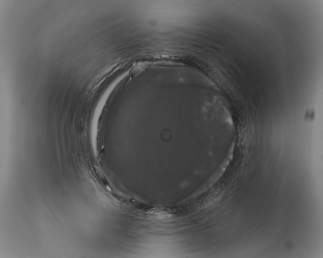 X0000114180648200911051551