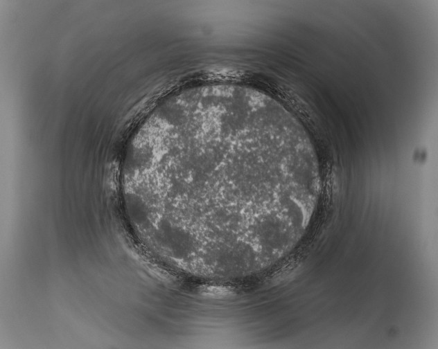 X0000114180649200911051551