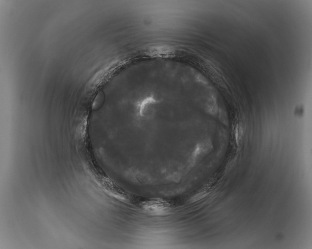 X0000114180652200911051551