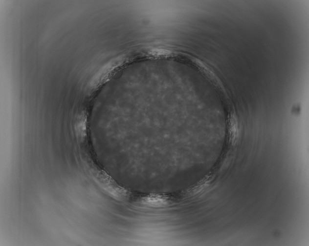 X0000114180668200911051552