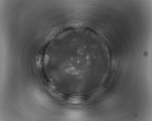 X0000114180671200911051552