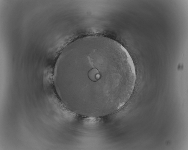 X0000114180672200911051552