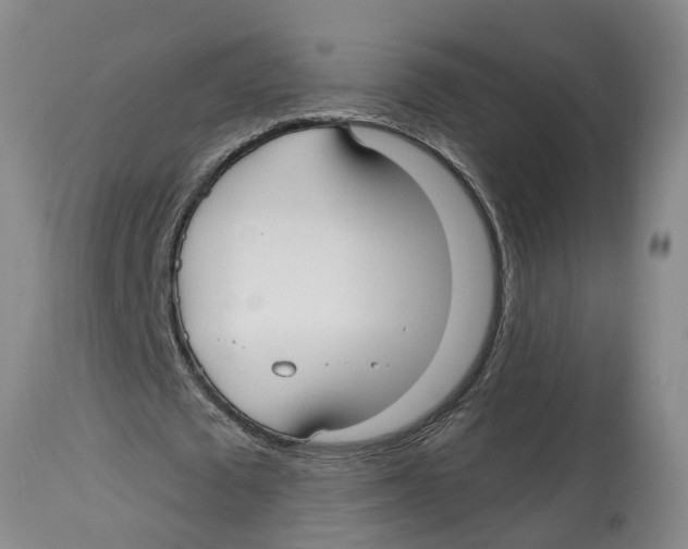 X0000114180673200911051551