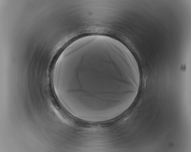 X0000114180674200911051551