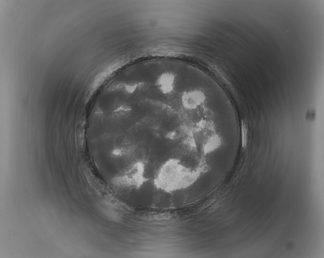 X0000114180675200911051551