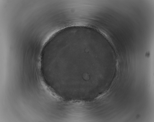 X0000114180676200911051551