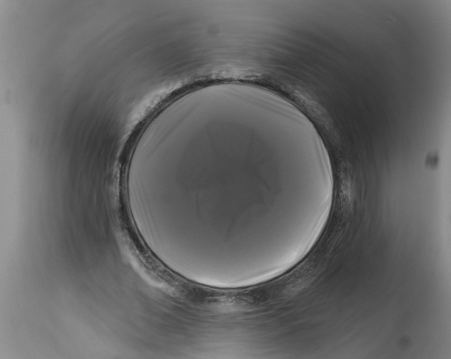 X0000114180678200911051551