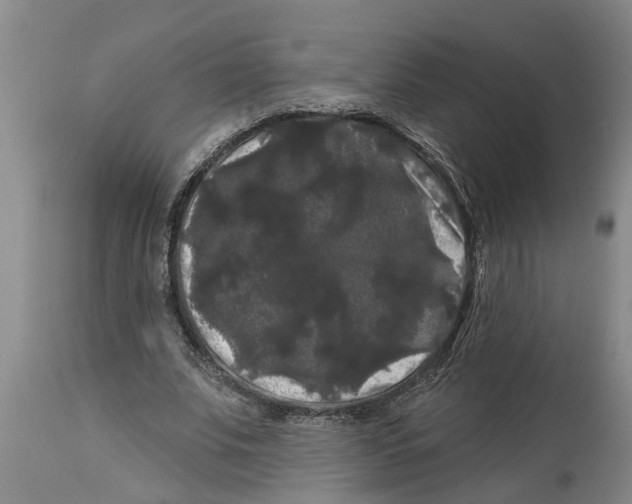 X0000114180679200911051551