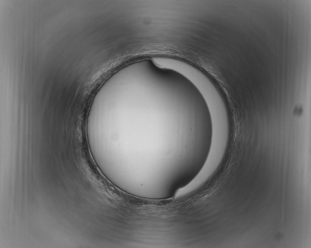 X0000114180681200911051551