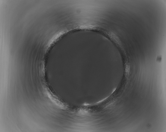 X0000114180684200911051551