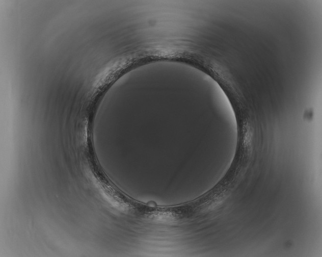 X0000114180685200911051551