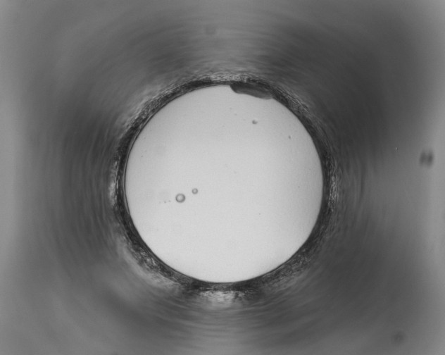 X0000114180687200911051551