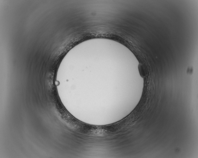 X0000114180695200911051550