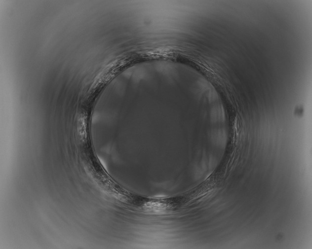 X0000114180699200911051550