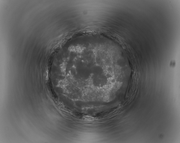 X0000114180703200911051550