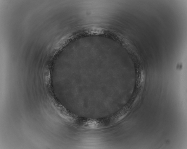 X0000114180704200911051550